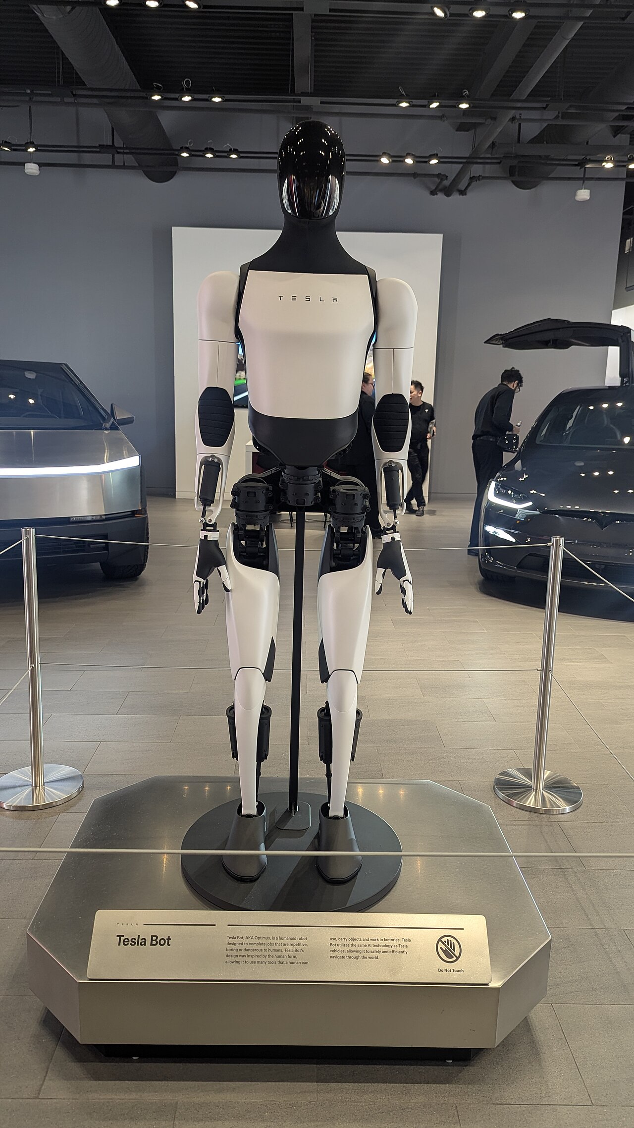Optimus at a Tesla showroom, November 2025